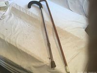 Two canes on fabric surface, full view