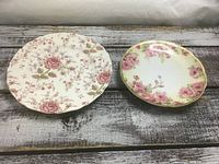 Front view of both plates side by side