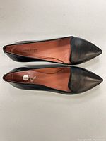 Top view of both flats showing leather uppers and pointed toes