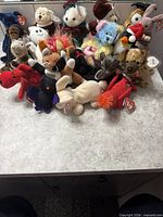 Front view of 20 assorted Ty Beanie Babies on countertop
