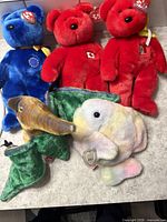 Group of five Ty plush bears displayed together