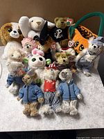 All 15 Ty Beanie Baby plush figures arranged together