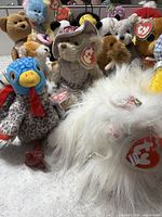 Group shot showing front row of chick, long-haired cat, blue-headed bird and additional beanies behind