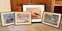 All four framed bird photographs displayed together