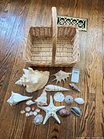 Overview of basket with all seashells laid out on floor