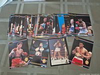 Spread of all 41 boxing trading cards showing fronts and imagery