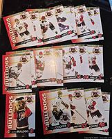 All 23 Alberni Valley Bulldogs 2015-16 trading cards laid out