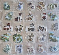 Top-down view showing 25 separate piles of Canadian stamps, each pile containing 25 identical stamps