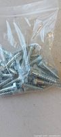 Zip bag of medium-length hex head lag screws