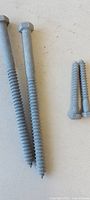 Four lag screws of two lengths