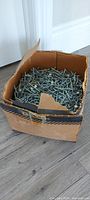 Cardboard box filled with galvanized roofing nails