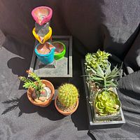 Overall view of fountain, artificial succulent planter and two potted cacti