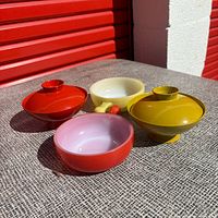 All four bowls and two lids grouped outdoors showing colours and forms