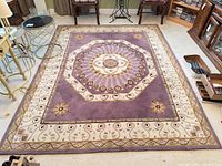 Full view of area rug showing pattern and colors