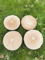 All four round beige velvet tufted cushions on grass