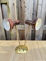 Front view of brass desk lamp with two brown adjustable heads illuminated