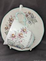 Teacup resting on matching saucer showing floral pattern, ribbed form and pastel trim