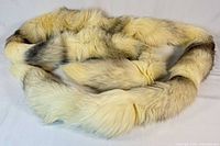Full view of coiled cream ivory fox fur stole