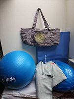 Overall lot showing BalanceFrom mat, Active Balance stability ball, blue half-ball trainer, gray Gaiam tote, gray blanket