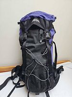 Front view showing purple/black ripstop nylon, lid, bungee cord system, daisy chains, hip belt, shoulder straps