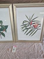 Two framed botanical prints with metallic-tone frames