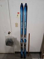 Full view of both skis showing graphics and color