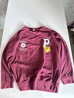 Front view of burgundy Pokemon sweatshirt with Pikachu and graphics