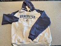 Full view of hoodie front showing design and colours