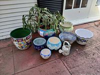 Group shot of all pots and cactus arranged on patio