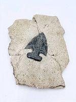 Front view of slab showing arrowhead cast