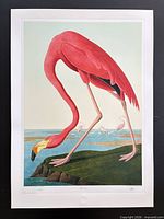 Full view of Flamingo Master Edition print showing entire sheet