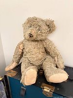 Full view of seated vintage mohair teddy bear showing overall appearance and size