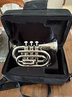 Pocket trumpet inside padded case