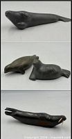 Collage showing three seals and walrus overview
