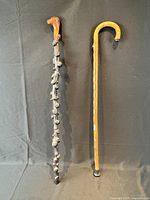 Both walking sticks standing side by side for overall view and size comparison