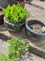Two green glazed planters on deck, one with lily of the valley, one with soil