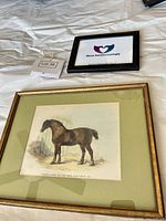 Front view of framed horse print showing artwork, mat and frame