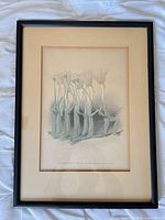 Front view of framed chromolithograph showing image, mat and frame