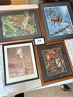 All four framed wildlife prints laid out