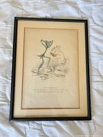 Front view of framed botanical lithograph showing artwork, mat and frame