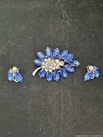 Brooch and matching earrings front view