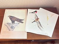 Portfolio-style calendar cover and stack of loose bird prints