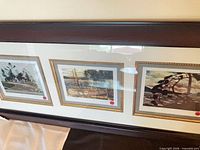 Full view of framed triple print under glass