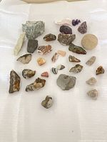 overview of entire assortment on white surface