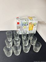 All 12 tumblers with original box