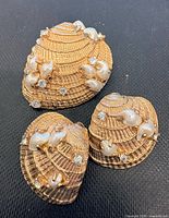 Front view of brooch and earrings showing shell design, pearls, rhinestones