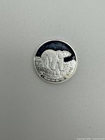 Obverse showing polar bear design and weight/fineness.