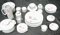 Full view of entire Thomas porcelain set laid out