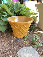 Front view of yellow-beige ceramic planter showing lattice diamond texture