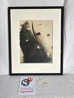 Front view of framed cactus photograph